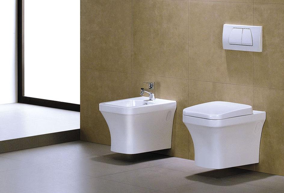WC Toilette Spülrandlos wandmontage mit Softclose Sitz 54,5 cm